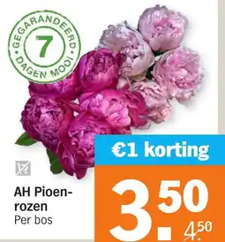 Albert Heijn AH Pioenrozen aanbieding