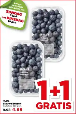 PLUS PLUS Blauwe bessen aanbieding