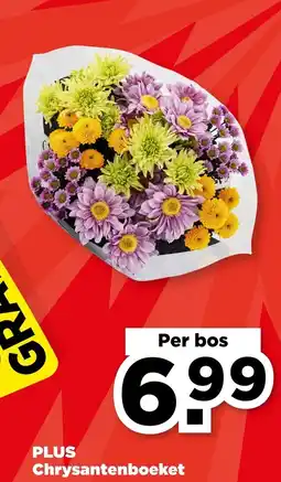 PLUS PLUS Chrysantenboeket aanbieding