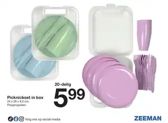 Zeeman Picknickset in box aanbieding