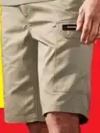 Lidl Werkshort aanbieding