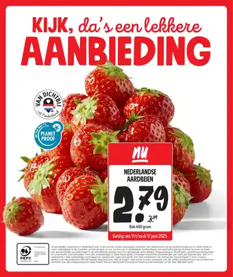 Jumbo Nederlandse aardbeien aanbieding
