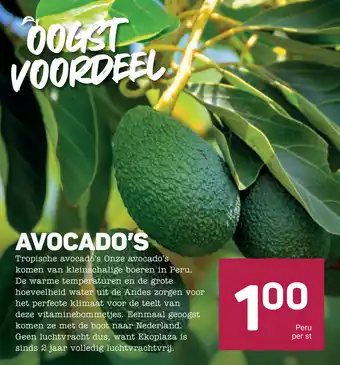Ekoplaza Avocado's aanbieding