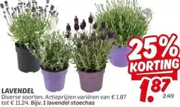 Dekamarkt LAVENDEL aanbieding