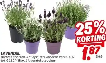 Dekamarkt LAVENDEL aanbieding