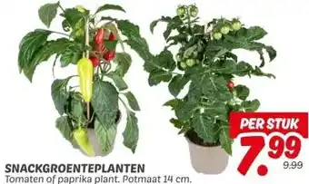 Dekamarkt SNACKGROENTEPLANTEN aanbieding