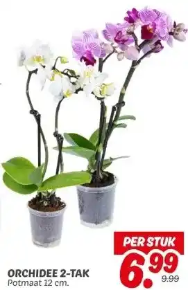 Dekamarkt ORCHIDEE 2-TAK aanbieding