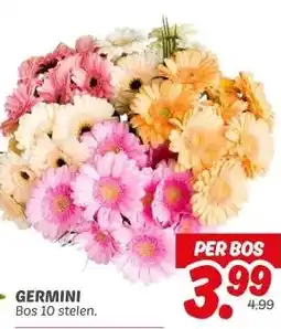 Dekamarkt GERMINI aanbieding