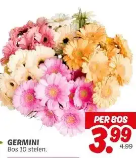 Dekamarkt GERMINI aanbieding