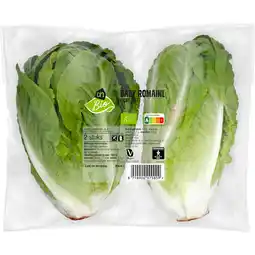 Albert Heijn AH Biologisch Baby romaine aanbieding