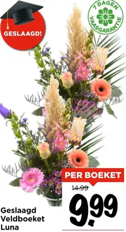 Vomar Voordeelmarkt Geslaagd Veldboeket Luna aanbieding