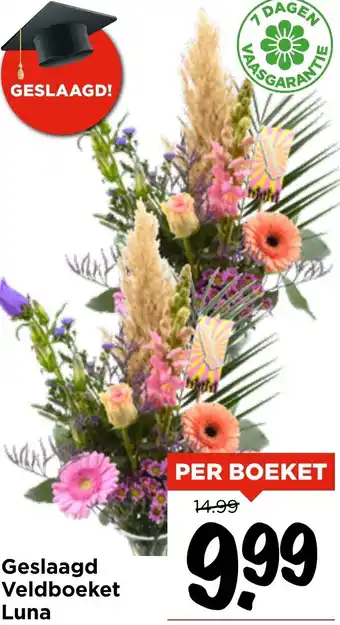 Vomar Voordeelmarkt Geslaagd Veldboeket Luna aanbieding