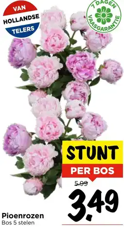 Vomar Voordeelmarkt Pioenrozen aanbieding