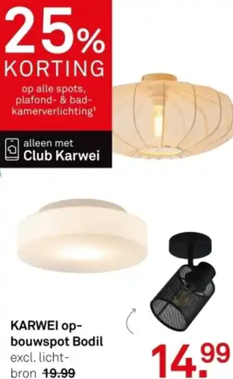 Karwei KARWEI opbouwspot Bodil aanbieding