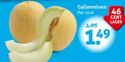 Hoogvliet Galiameloen aanbieding