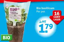 Hoogvliet Bio basilicum aanbieding