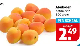 Hoogvliet Abrikozen aanbieding