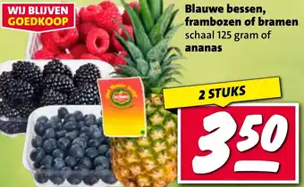 Nettorama Blauwe bessen, frambozen of bramen of ananas aanbieding