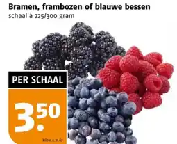 Poiesz Bramen, frambozen of blauwe bessen aanbieding