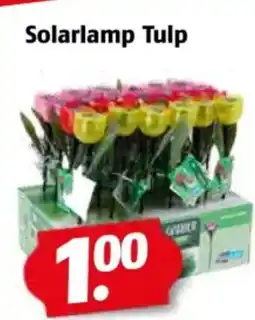 Poiesz Solarlamp Tulp aanbieding