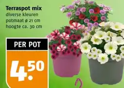 Poiesz Terraspot mix aanbieding