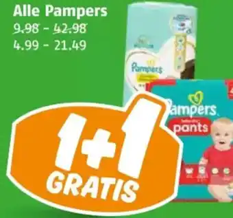Poiesz Alle Pampers aanbieding