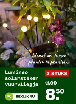 Welkoop Lumineo solarsteker vuurvliegje aanbieding