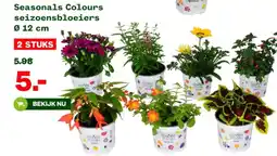 Welkoop Seasonals Colours seizoensbloeiers aanbieding