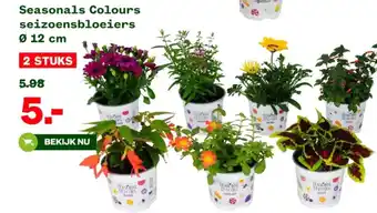 Welkoop Seasonals Colours seizoensbloeiers aanbieding