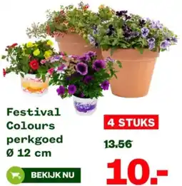 Welkoop Festival Colours perkgoed aanbieding