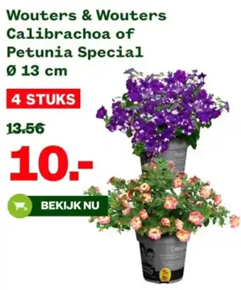 Welkoop Wouters & Wouters Calibrachoa of Petunia Special aanbieding
