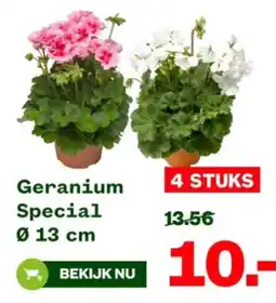Welkoop Geranium Special aanbieding