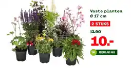 Welkoop Vaste planten aanbieding