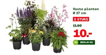 Welkoop Vaste planten aanbieding