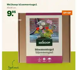 Welkoop Welkoop bloementegel aanbieding