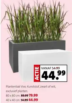 Intratuin Plantenbak Vivo aanbieding