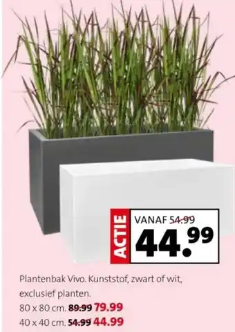 Intratuin Plantenbak Vivo aanbieding