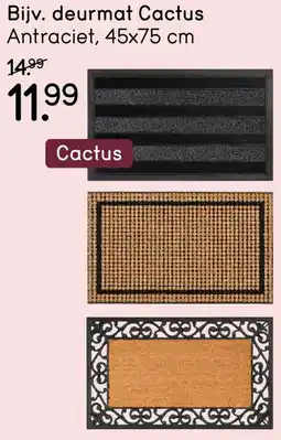 Leen Bakker Deurmat cactus aanbieding