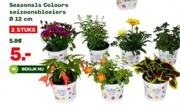 Welkoop Seasonals Colours seizoensbloeiers Ø 12 cm aanbieding