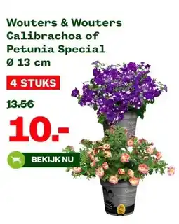 Welkoop Wouters & Wouters Calibrachoa of Petunia Special Ø 13 cm aanbieding
