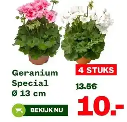 Welkoop Geranium Special Ø 13 cm aanbieding