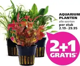 Ranzijn AQUARIUM- PLANTEN aanbieding