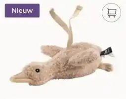 Prenatal Flow Amsterdam Liva aanbieding