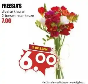 MCD Supermarkt FREESIA'S aanbieding