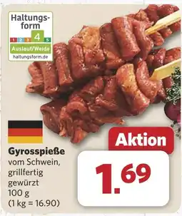 Combi Gyrosspieße aanbieding