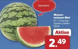 Combi Wasser- melonen Mini aanbieding