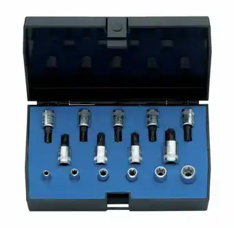 Conrad Gedore 1815628 1815628 Dopsleutel-bitinzetset 1/4 (6.3 mm) 15-delig aanbieding