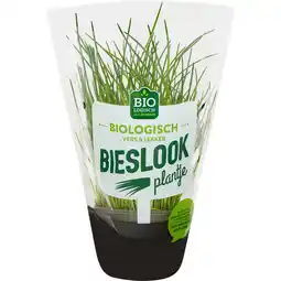 Jumbo BIO BIESLOOK POT aanbieding