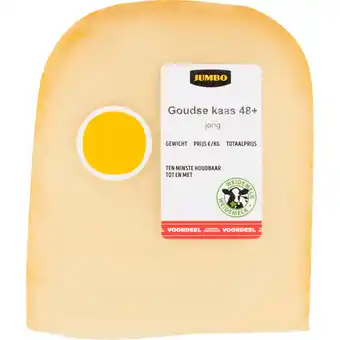 Jumbo Jumbo Goudse Kaas Jong 48+ Voordeelverpakking 570g aanbieding