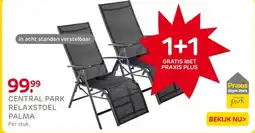 Praxis Central park relaxstoel palma aanbieding